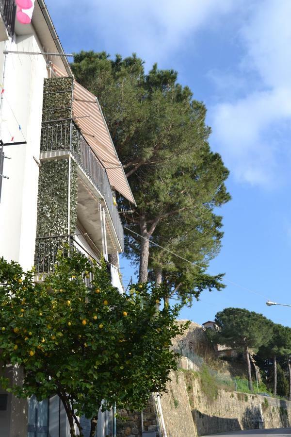 Casa Delle Mura モンテメラノ エクステリア 写真